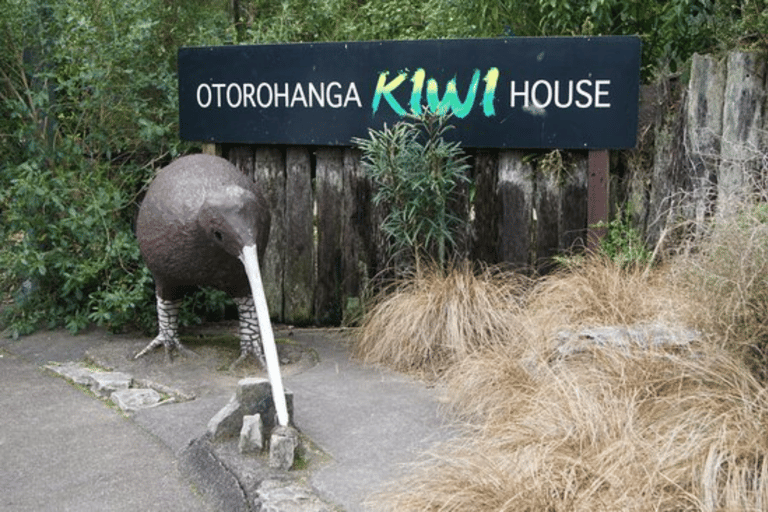 De Auckland: Excursão em grupo às cavernas de Waitomo e à Kiwi House