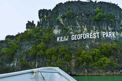 Langkawi: Kilim Geoforest Mangrove 2-Hour Jetski Tour Single Rider Jet Ski Option