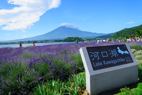 Mt.Fuji:Lake Kawaguchi,Yamanaka & Onsen Day Tour From Tokyo 8:30am pick-up at Shinjuku Station