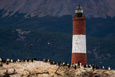 Ushuaia: Martillo Island Full-Day Tour – Walk Among Penguins