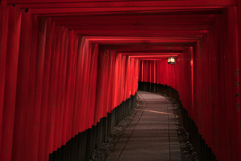 From Osaka/Kyoto: Kyoto UNESCO World Heritage Sites Day Tour From Osaka: Kyoto Full Day Tour (7:30 Meet-up)