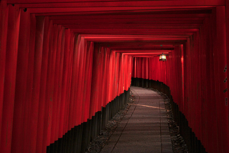 From Osaka/Kyoto: Kyoto UNESCO World Heritage Sites Day Tour From Osaka: Kyoto Full Day Tour (7:30 Meet-up)