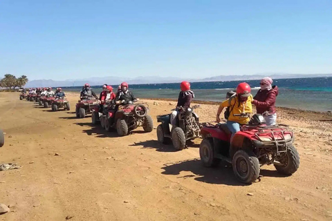 Sharm: 3 Pools Dahab Tour, Quad, Camel, Red Canyon & Lunch 3 Pools Tour, Camel, Red Canyon included Lunch