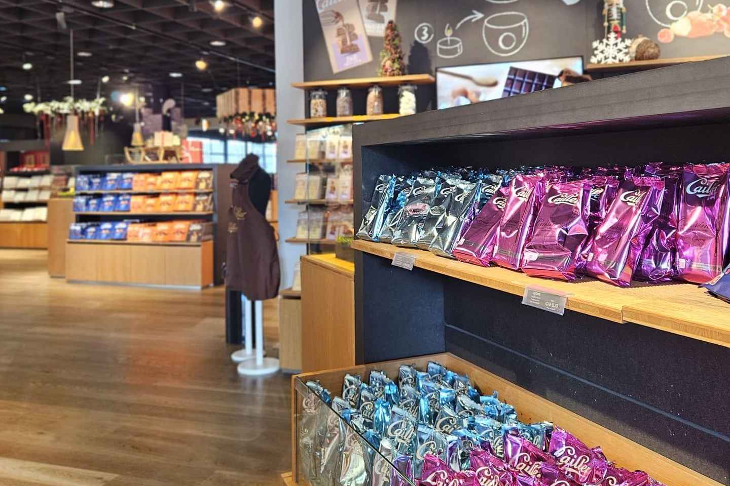 From Montreux, Bern or Gstaad : Gruyères region TOUR