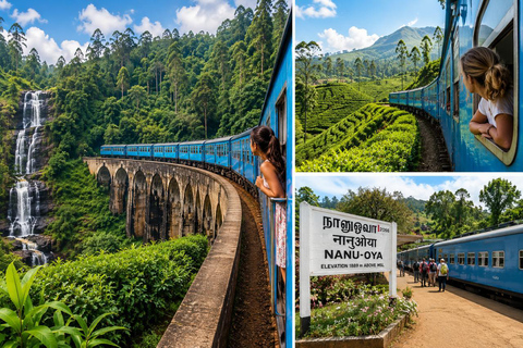 From Kandy: 2-Day Highlights Tour with Scenic Train to Ella