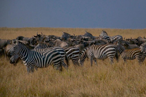 Overnight Safari to Tsavo East From Diani Beach