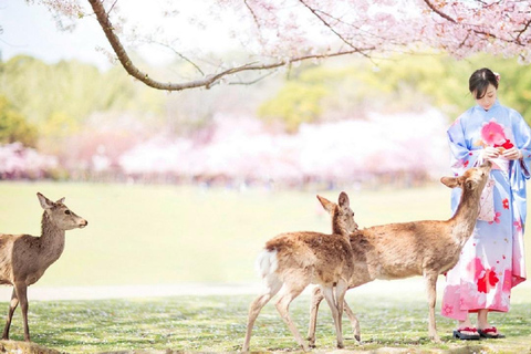 Full-Day Tour of Kyoto and Nara: UNESCO Heritage HighlightsFrom Osaka 8:40am