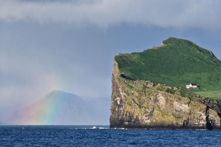 Westman Islands World´s Largest Puffin Colony & Volcano Tour