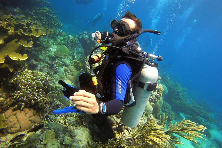 Tayrona National Park: Beginner Diving with Expert Tour Guides Tayrona National Park: Beginner Diving With Expert Tour Guides