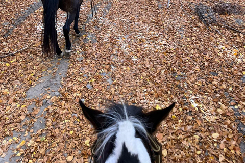 ✨Expérience de Sofia - nature, histoire, équitation et SPA✨