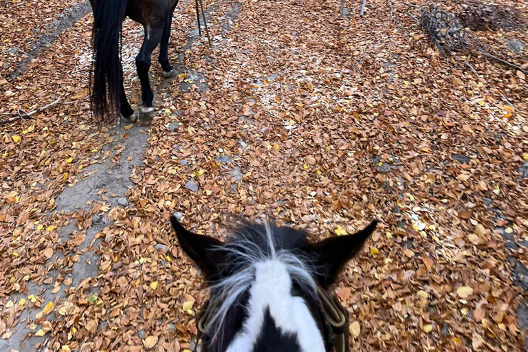 Beleef Sofia - natuur, geschiedenis, paardrijden en SPA✨