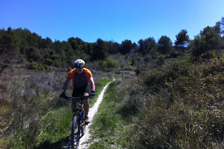 Dénia: Electric Mountain Bike Tour around the Montgó mountain