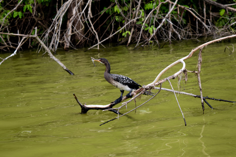 Duluti-See: Kanufahren, Naturwanderung und ExtraKajakfahren, Spaziergang in der Natur und Töpferkurs