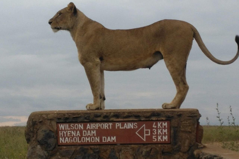 Nairobi nationalpark, elefantbarnhem och giraffcenter