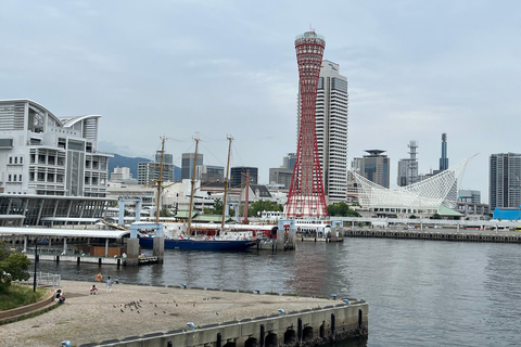 Kansai: Business and Leisure Tour with a Local Guide