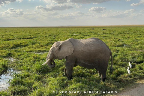 Nairobi: 5-Day Hell’s Gate, Lake Naivasha and Amboseli Parks 5-Day Hell's Gate, Lake Naivasha and Amboseli Parks