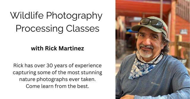 Visit Wildlife Photography Processing Class in Rocky Mountain National Park