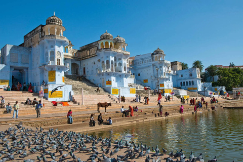 From Delhi: Golden Triangle with Pushkar – 5 Nights, 6 Days Private Tour with 3-Star Hotel, Car, Driver and Tour Guide