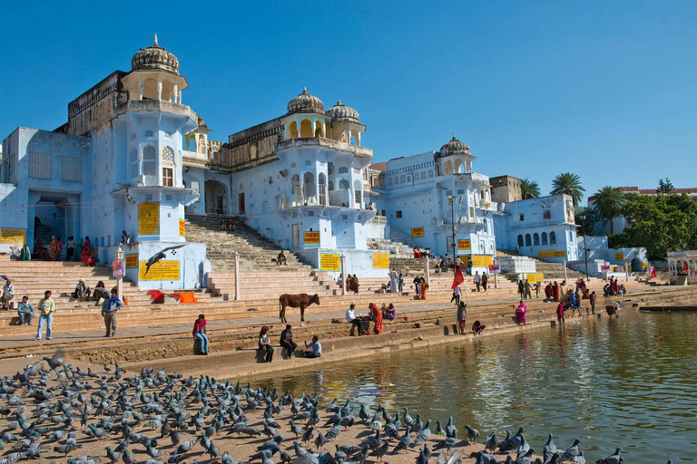 From Delhi: Golden Triangle with Pushkar – 5 Nights, 6 Days Private Tour with 3-Star Hotel, Car, Driver and Tour Guide