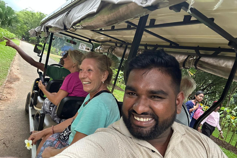 Kandy: Sigiriya, Dambulla, or Habarana Transfer & Tour