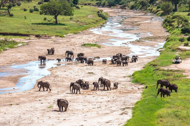 Paquete de safari en camping de 3 días en Tanzania