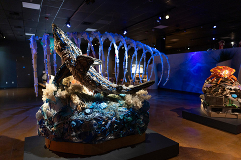 San Diego Natural History Museum Nighttime Entry Ticket