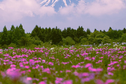 Tokyo: Private Mt. Fuji Luxury Day Tour – Fully Customizable Luxury Land Cruise Customizable Tour