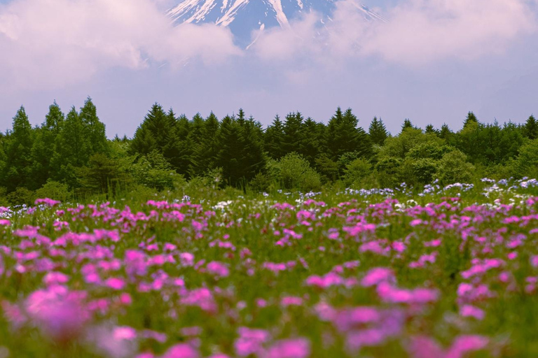 Tokyo: Private Mt. Fuji Luxury Day Tour – Fully Customizable Luxury Land Cruise Customizable Tour