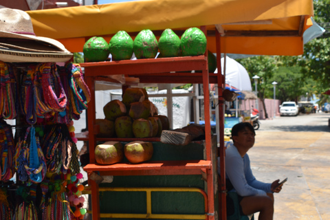 Isla Mujeres: Catamaran Tour with snorkel and Playa Norte Tour from Playa del Carmen