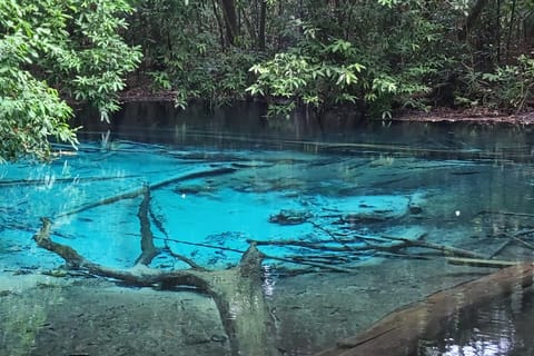 Krabi: Private Car Hot Springs, Emerald Pool, and ATV Tour - Image 2