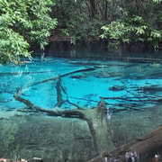 Krabi: Private Car Hot Springs, Emerald Pool, and ATV Tour Krabi: Private Car Hot Springs, Emerald Pool, and ATV Tour