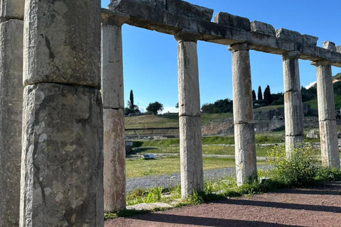 Timeless Ancient Messene: A Journey Through History Private Luxury Zero-Emission Electric SUV Transfer (Up to 4)