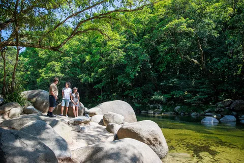 Cairns: Daintree Rainforest & Cape Tribulation Day Trip