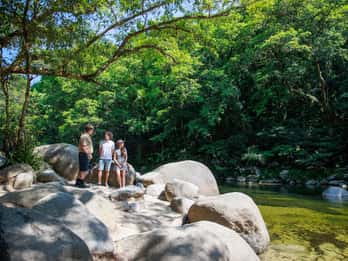Cairns: Daintree Rainforest & Cape Tribulation Tagestour