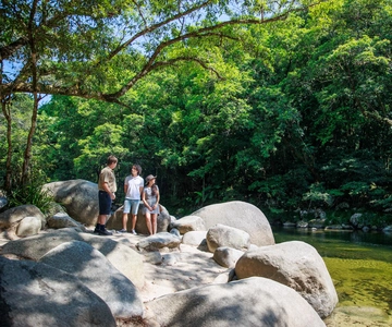 Cairns: Daintree Rainforest & Cape Tribulation Day Trip