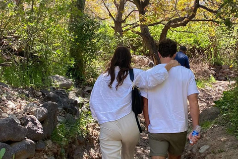 Marrakech:Montagne dell&#039;Atlante, Cascata di Ourika con guida+pranzoTour di gruppo