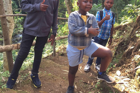 Patrimoine culturel d'Arusha, lac Duluti et cascade de BangataPatrimoine culturel d'Arusha, lac Duluti et cascade de Themi