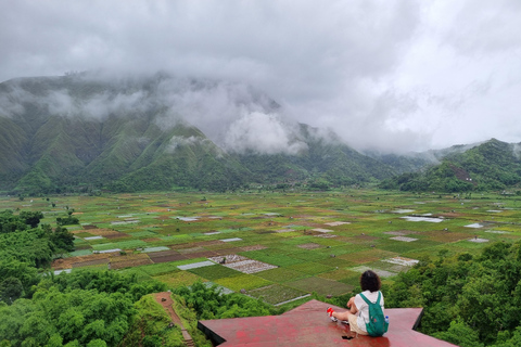 Lombok: Private Customizable Tour with Driver-Guide North Lombok Tour From South Lombok