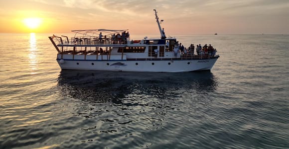 Poreč: Bootstour nach Rovinj mit Mittagessen und Getränken Poreč: Bootstour nach Rovinj mit Mittagessen und Getränken
