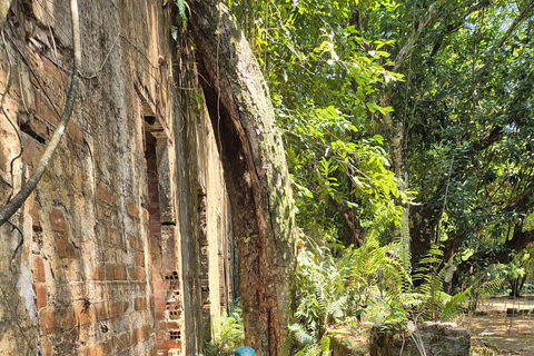 Original Açaí Experience and Visit to the Ruins of Paricatuba in Amazonas