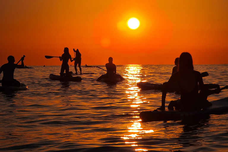 برشلونة: لوح التجديف عند شروق الشمس. تشمل: المعلم، والصور/مقاطع الفيديو، والمواد، والمعدات.
