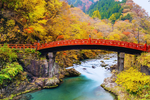 Osaka: Amanohashidate, Ine Boat Houses & Miyama Day Trip 1:Tango Amanohashidate + Ine + Miyama（Snacks for Seagulls）