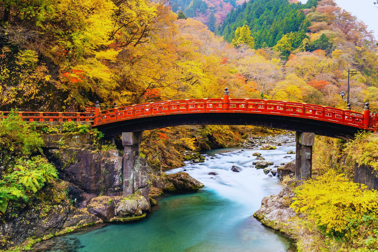 Osaka: Amanohashidate, Ine Boat Houses & Miyama Day Trip 1:Tango Amanohashidate + Ine + Miyama（Snacks for Seagulls）