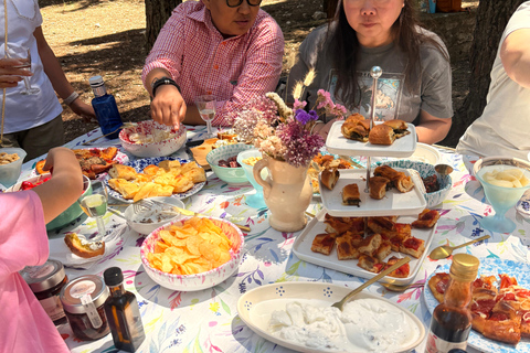 Trüffelsuche mit Verkostung in der Alta Murgia