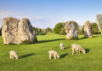 Von Bath, Stonehenge & den Cotswolds Tagestour - Hizvo