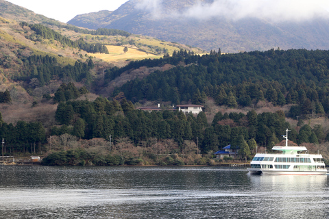 Tokyo: Mount Fuji And Hakone Private Tour Full Customizable