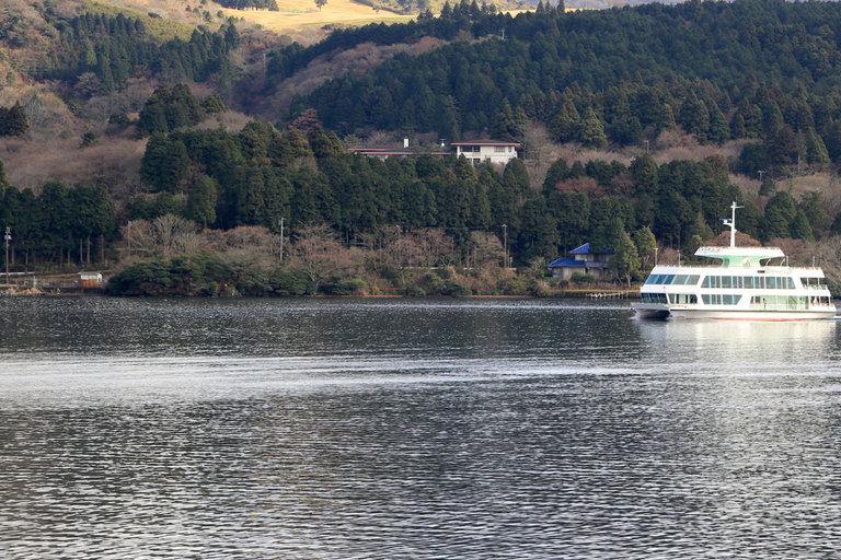 Tokyo: Mount Fuji And Hakone Private Tour Full Customizable