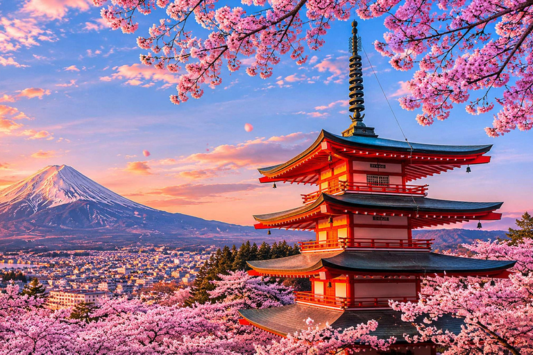 From Tokyo : Mount Fuji Private Day Trip with Hotel Pickup Mount Fuji & Hakone Customize Tour With English Guide