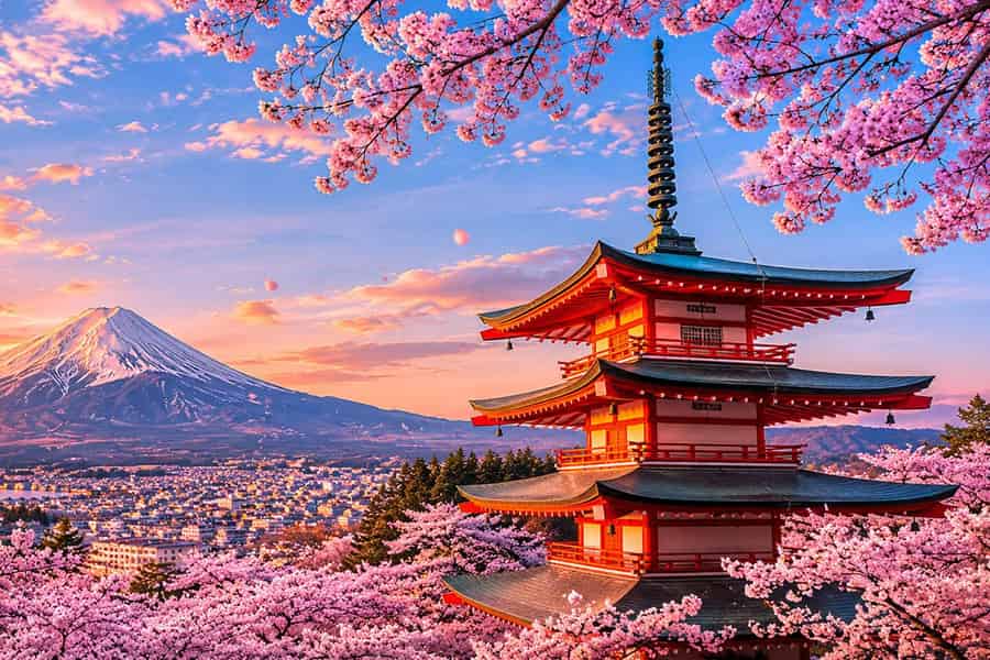 Tokio: Private individuelle Tour zum Berg Fuji mit englischsprachigem Guide. Foto: GetYourGuide Tokio: Private individuelle Tour zum Berg Fuji mit englischsprachigem Guide. Foto: GetYourGuide