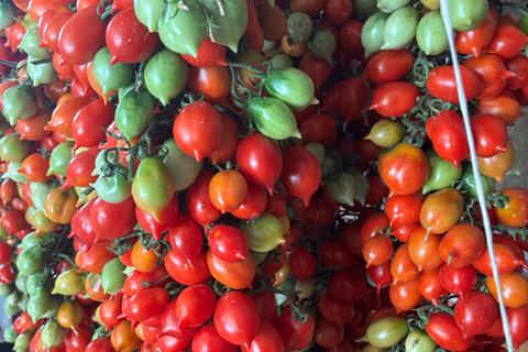 Amalfi: cookingclass whit mozzarella, tiramisù and pasta Amalfi: cookingclass whit mozzarella, tiramisù and pasta